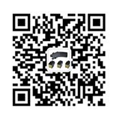 黑鷹高壓電擊棍專賣